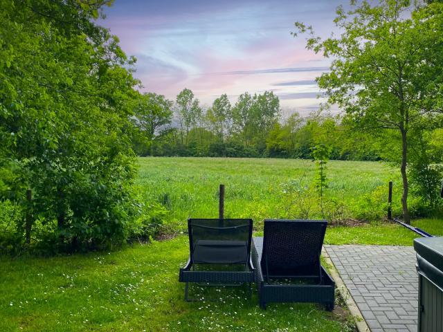 Aussicht vom Ferienhaus [Sommer]