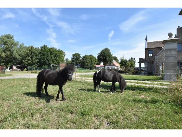 Holiday Park Facilities and Services