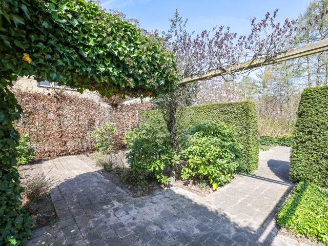 Außenseite Ferienhaus [Sommer]