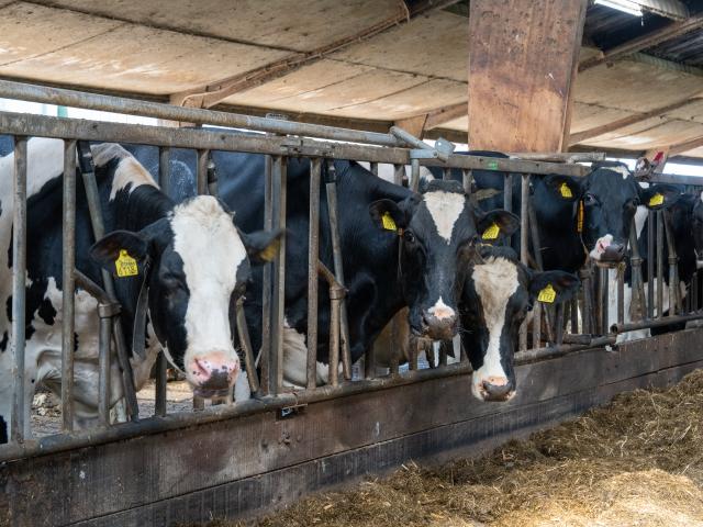 A proximité directe (<1 km)