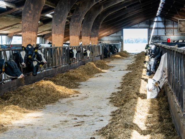 A proximité directe (<1 km)