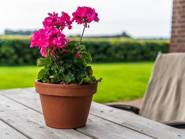 Ambiance / plan rapproché