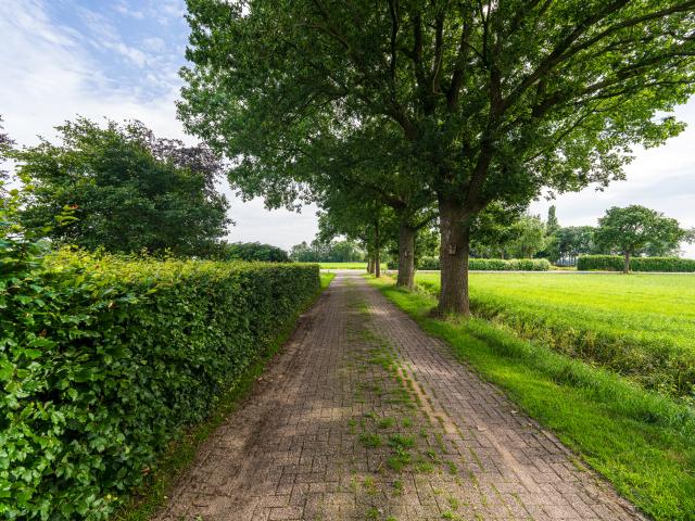 A proximité directe (<1 km)