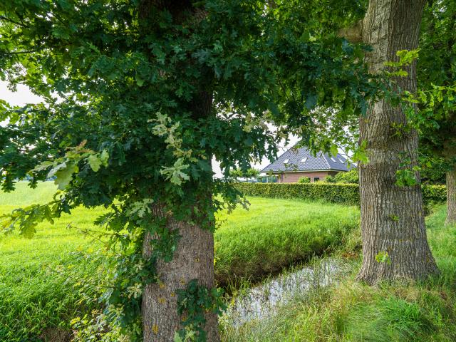 Extérieur maison de vacances