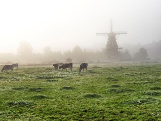 A proximité directe (<1 km)