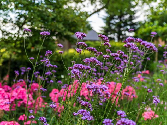 Ambiance / plan rapproché
