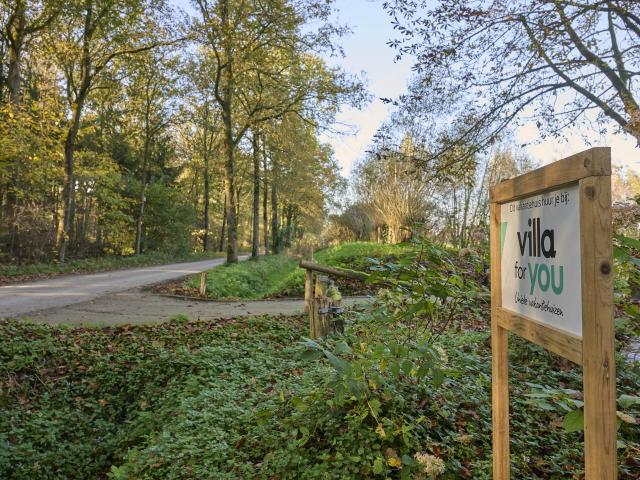 Ambiente / Nahaufnahme