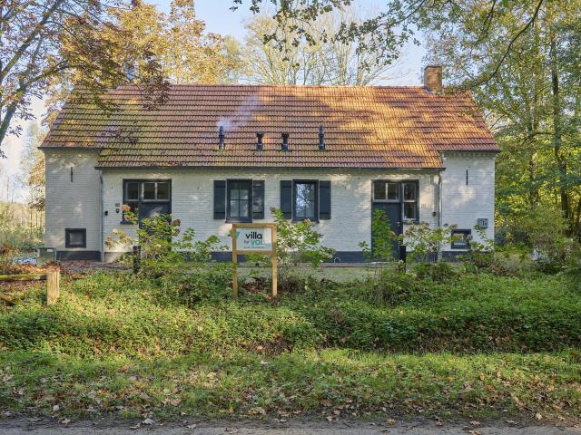 Außenseite Ferienhaus [Sommer]