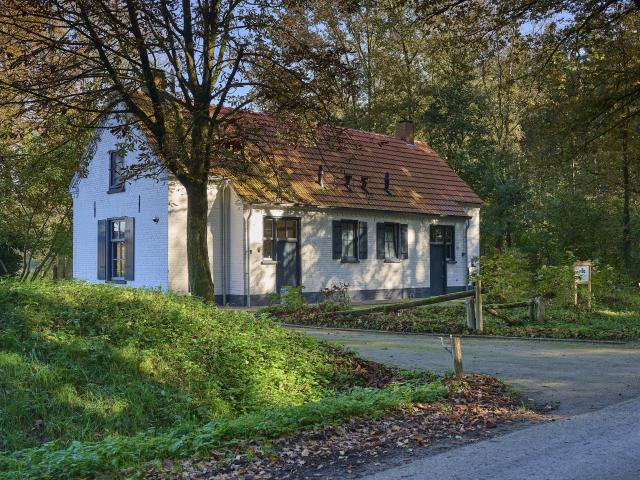 Außenseite Ferienhaus [Sommer]