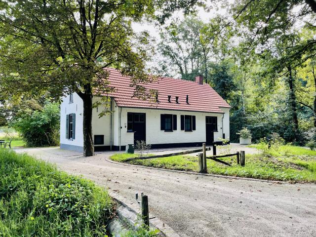 Exterieur vakantiehuis [zomer]