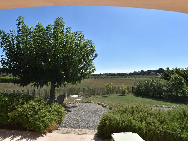 Aussicht vom Ferienhaus [Sommer]