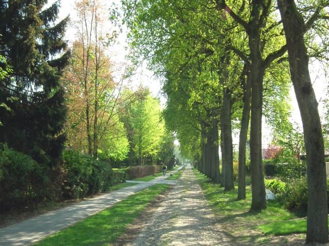 Direkte Umgebung (<1 km)