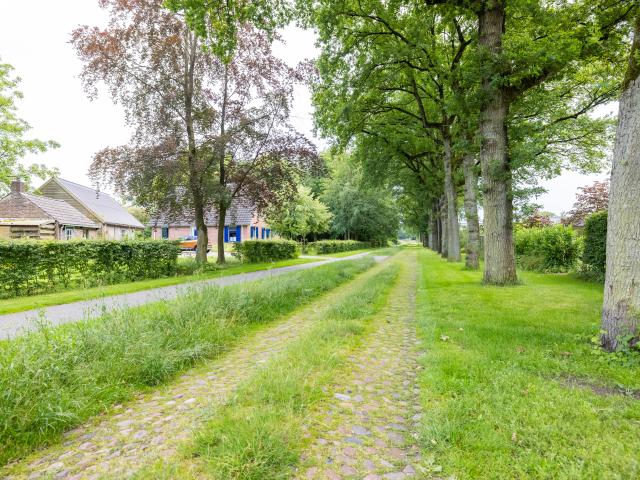 Direkte Umgebung (<1 km)