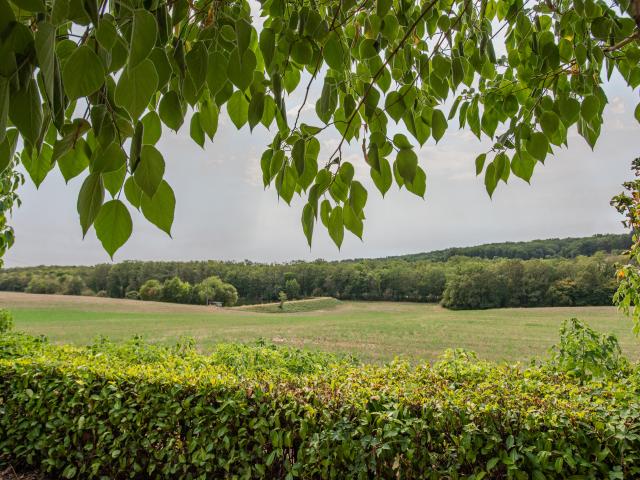 Aussicht vom Ferienhaus [Sommer]