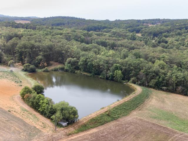 Direkte Umgebung [Sommer] (<1 km)