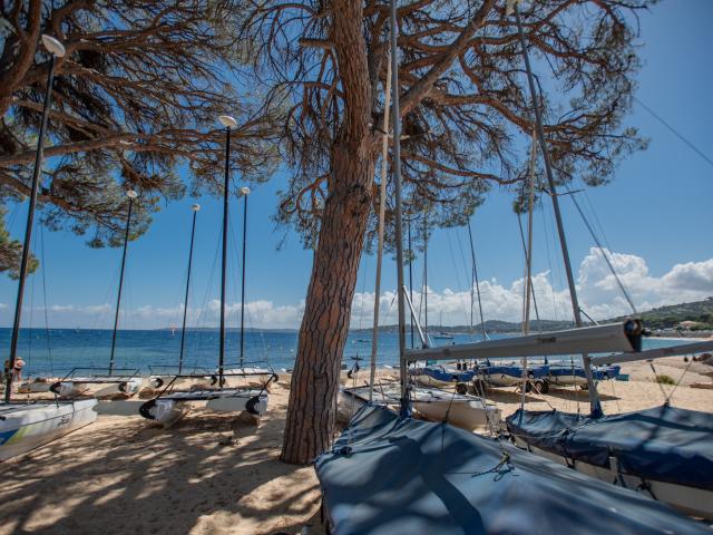 Directe omgeving (<1 km)