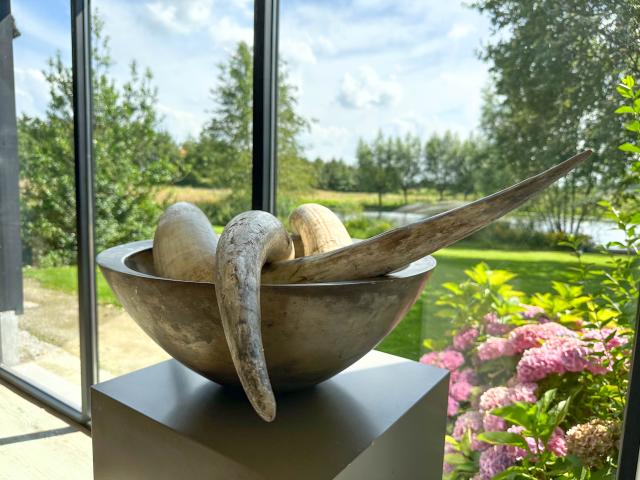 Ambiente / Nahaufnahme