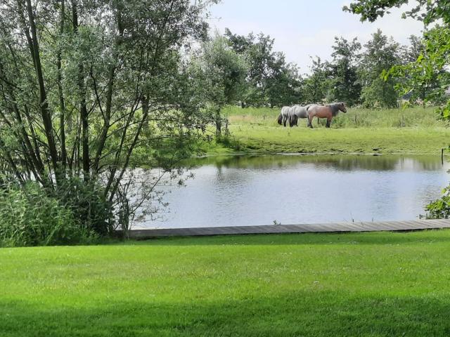 Aussicht vom Ferienhaus [Sommer]