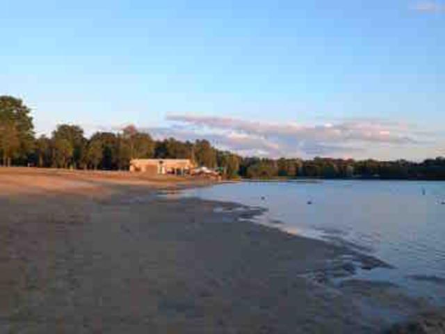 Directe omgeving [zomer] (<1 km)