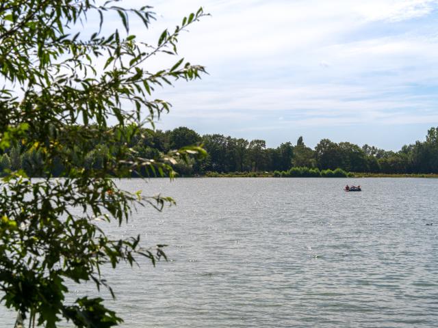 Directe omgeving [zomer] (<1 km)