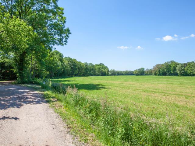 Directe omgeving [zomer] (<1 km)