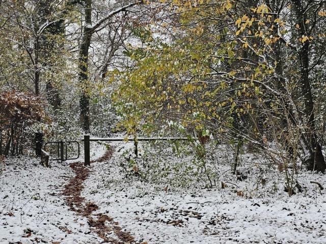 Directe omgeving [winter] (<1 km)