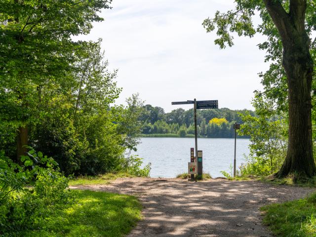 Directe omgeving [zomer] (<1 km)