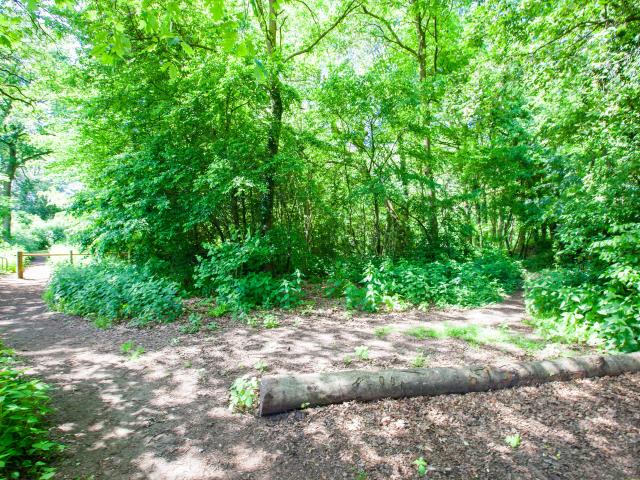 Directe omgeving [zomer] (<1 km)