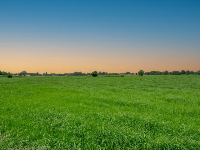 Direkte Umgebung (<1 km)