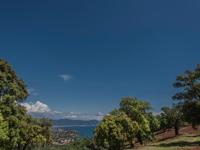 Direkte Umgebung (<1 km)