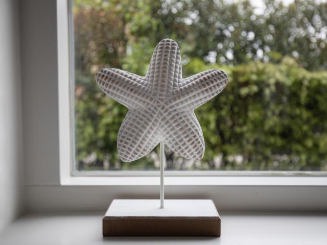 Ambiente / Nahaufnahme