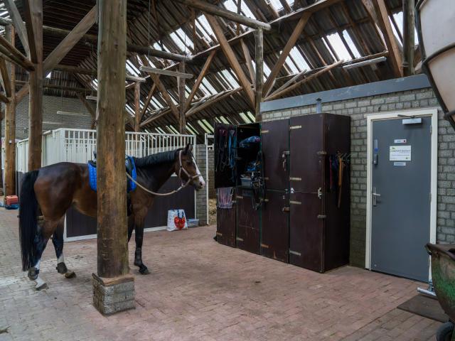 Ausstattung und Service des Ferienhauses