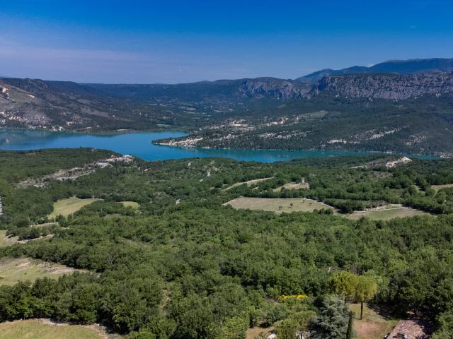 Directe omgeving (<1 km)