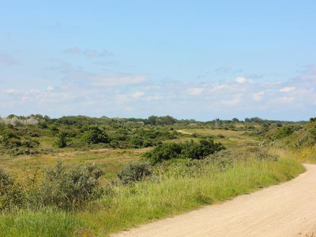 Direkte Umgebung [Sommer] (<1 km)