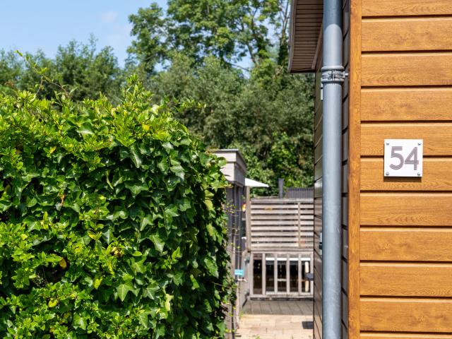 Ambiente / Nahaufnahme