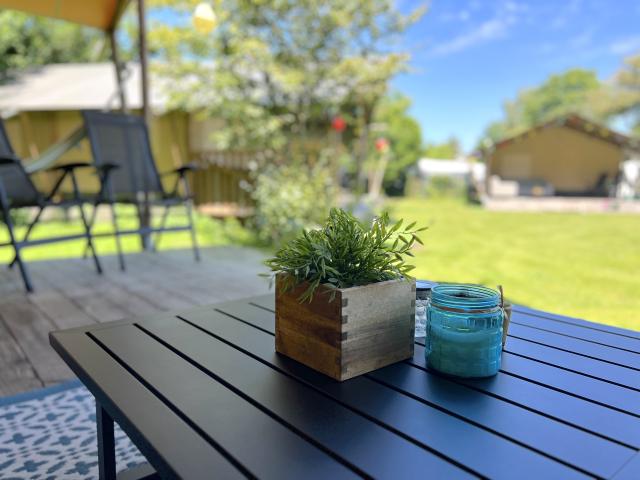 Ambiente / Nahaufnahme