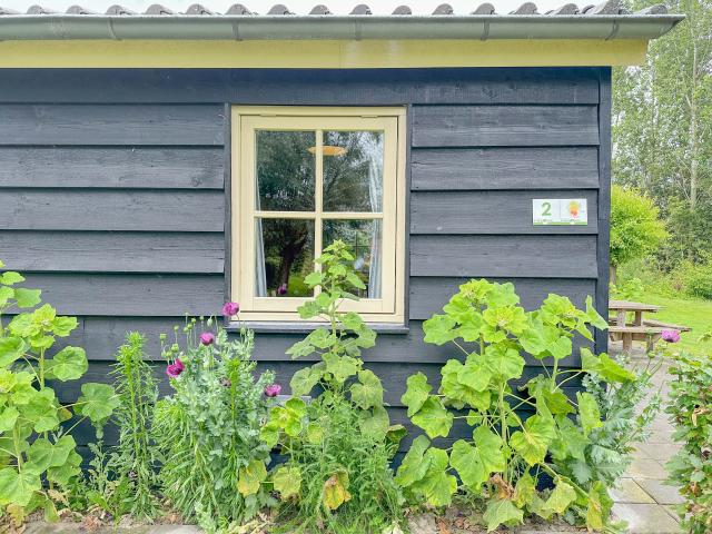 Ambiance / plan rapproché