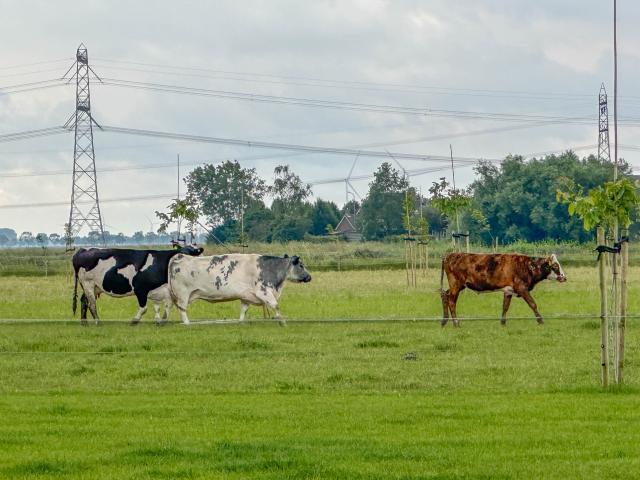 A proximité directe (<1 km)