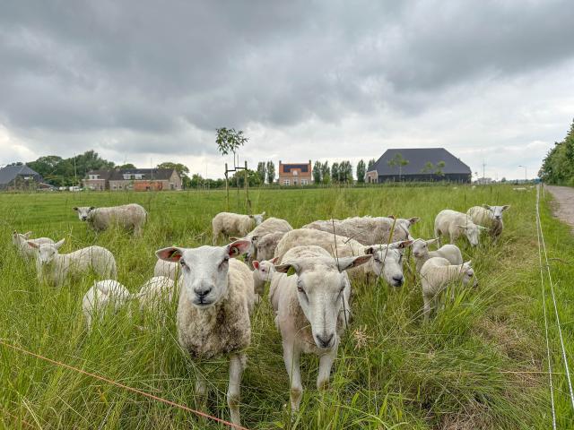 A proximité directe (<1 km)