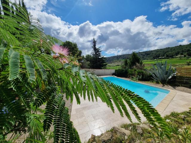 Pool des Ferienhauses