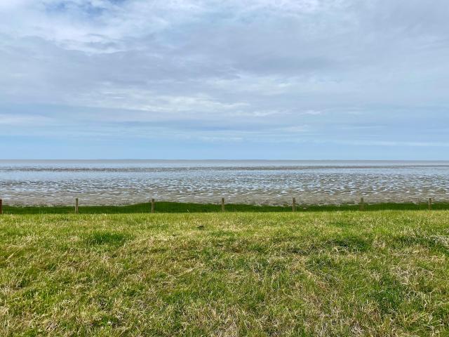 Immediate Surroundings (<1 km)