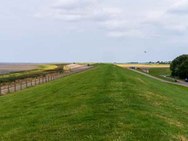 Surroundings (1-5 km)