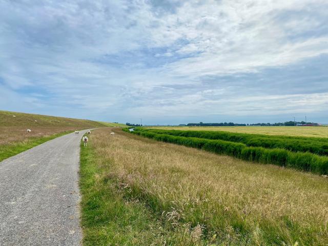 Surroundings (1-5 km)