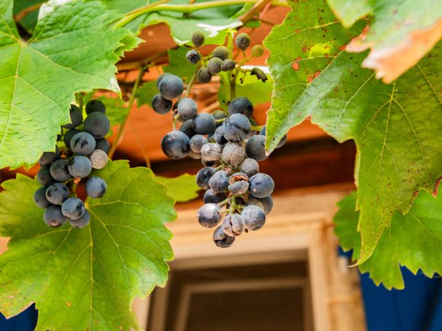 Ambiance / plan rapproché