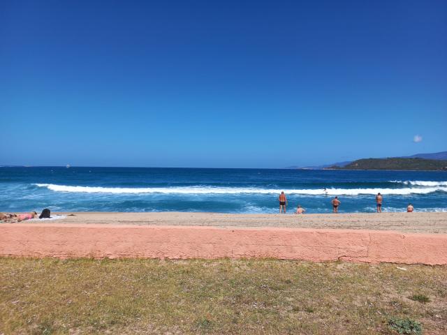 Immediate Surroundings (<1 km)