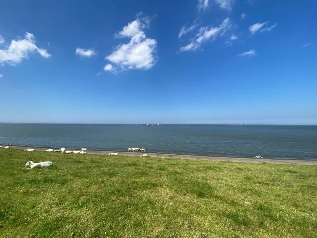 Surroundings [summer] (1-5 km)