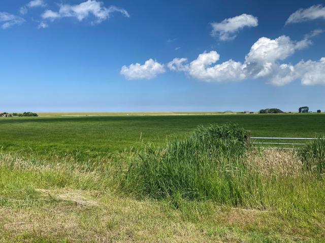 Immediate Surroundings [summer] (<1 km)