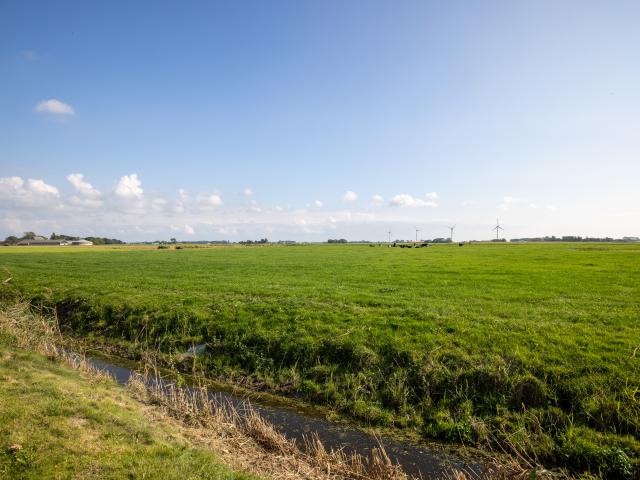 View from Holiday Home [summer]