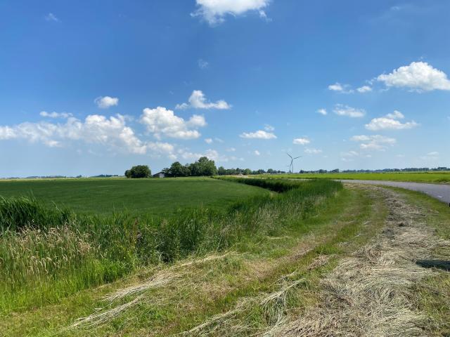 Surroundings [summer] (1-5 km)