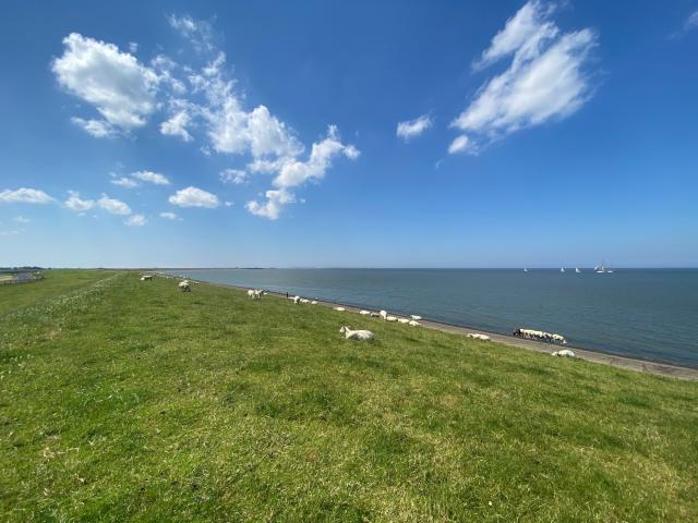 Surroundings [summer] (1-5 km)